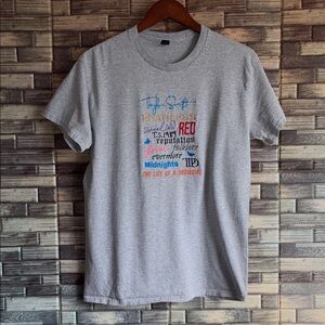 EUC Gildan Medium Heavy Blend Gray Taylor Swift Embroidered T-Shirt